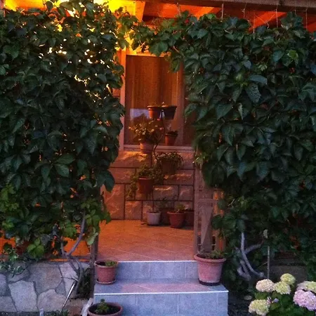 Apartment Andy Komiza